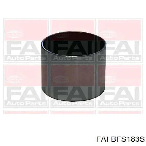 Kompensator hydrauliczny (popychacz hydrauliczny), popychacz zaworu Renault (RVI) 7700102349 cena, od 9,28 USD