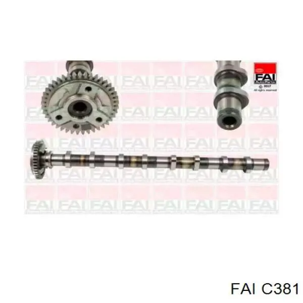 CAM977 AE Wał rozrządu silnika ssący, dolotowy