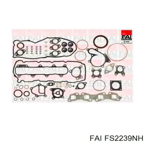 A01015X00A Nissan/Infiniti Zestaw uszczelek silnika pełny