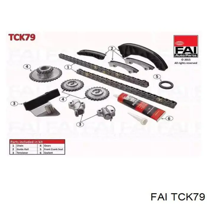 Łańcuch rozrządu, zestaw FAI TCK79 cena, od 236,89 USD