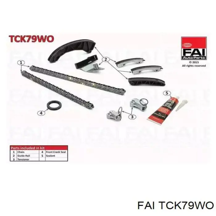 Łańcuch rozrządu, zestaw FAI TCK79WO cena, od 214,23 USD
