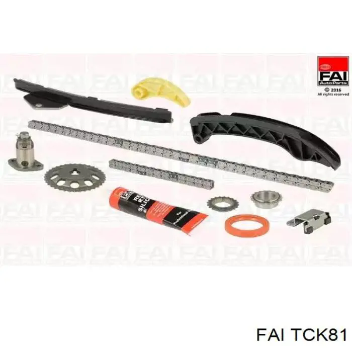 Łańcuch rozrządu, zestaw FAI TCK81 cena, od 238,79 USD