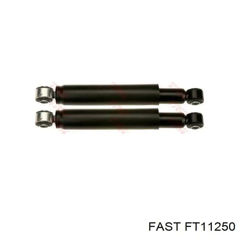 Amortyzator tylny Fast FT11250 cena, od 39,84 USD