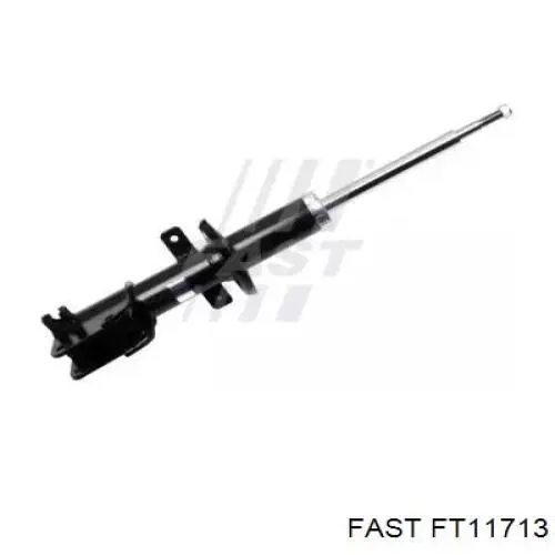 Amortyzator tylny Fast FT11713 cena, od 30,49 USD