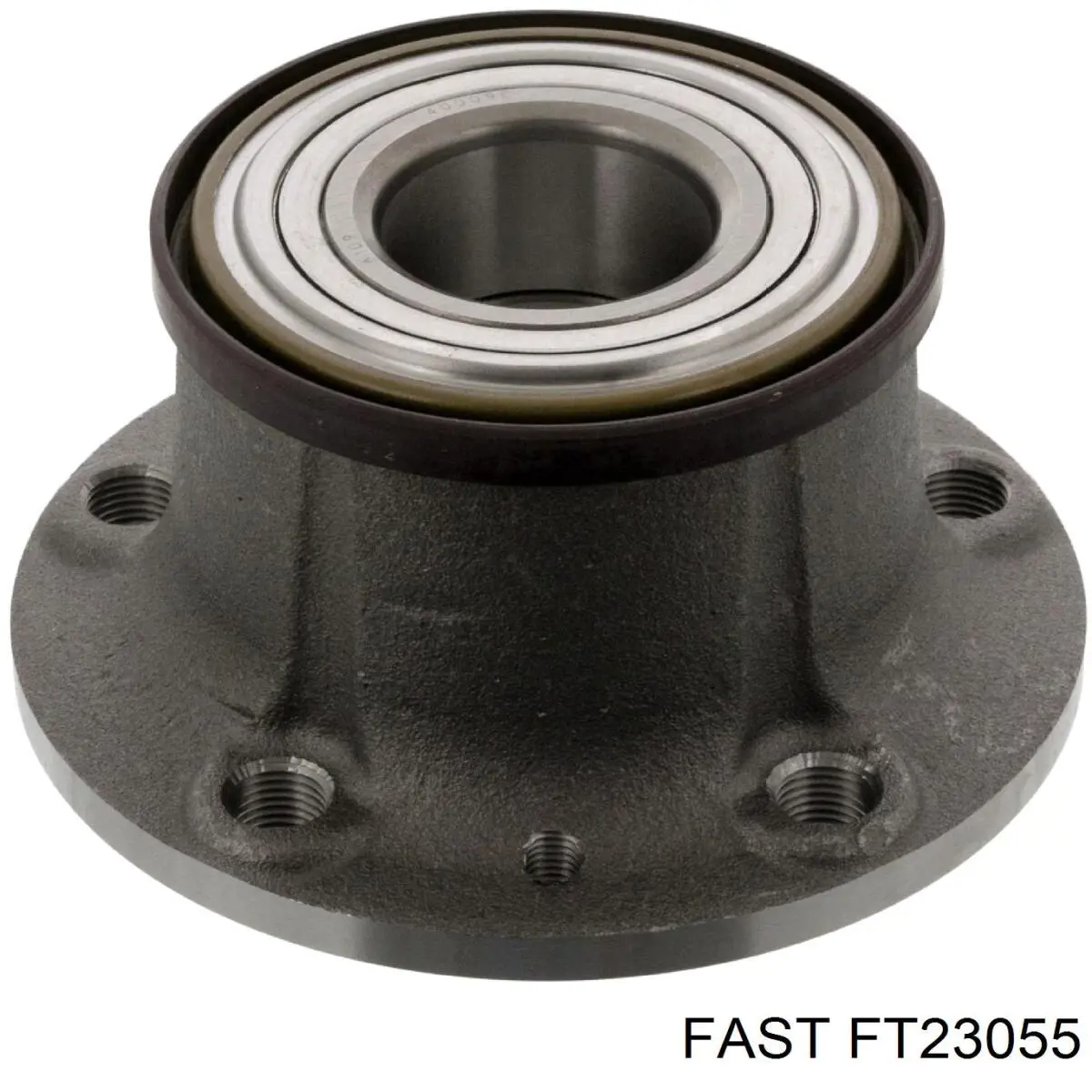 FT23055 Fast Piasta tylna