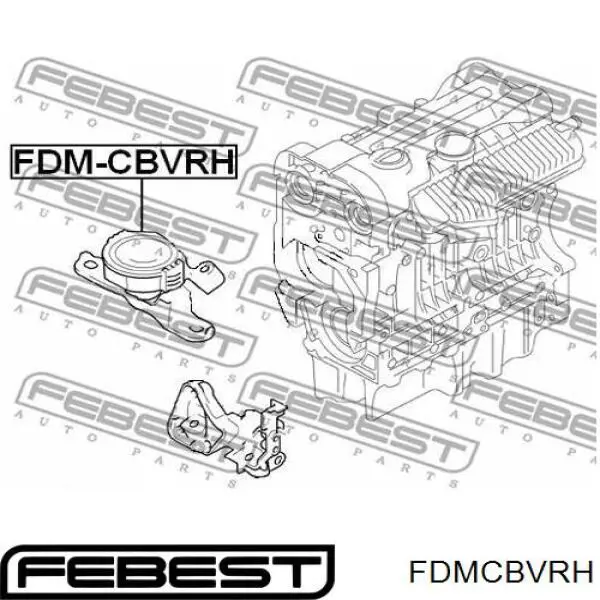 FDM-CBVRH Febest poduszka (podpora silnika prawa)