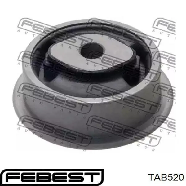 Do koszyka 4165130140 Toyota Silentblock tylny (poduszka) reduktora mostu tylnego