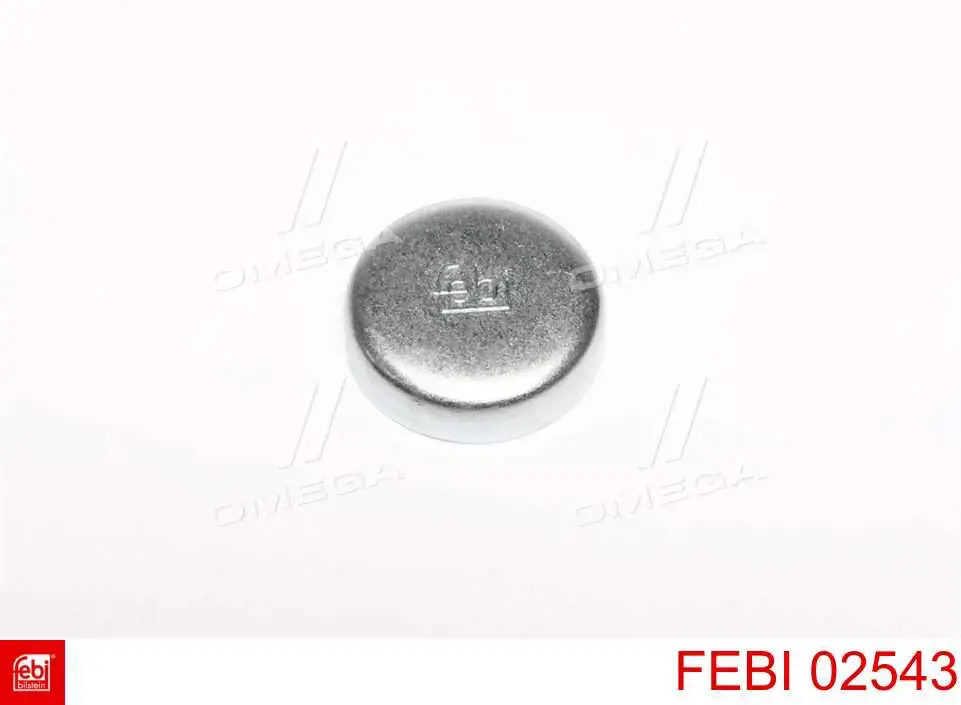 Zaślepka głowicy cylindrów/bloku cylindrów Febi 02543 cena, od 0,71 USD