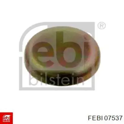 Zaślepka głowicy cylindrów/bloku cylindrów Febi 07537 cena, od 1,00 USD