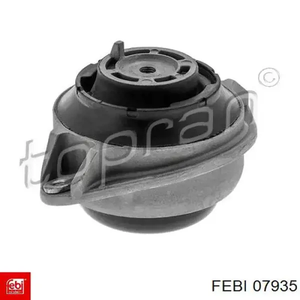 Poduszka (podpora) silnika lewa Febi 07935 cena, od 49,63 USD