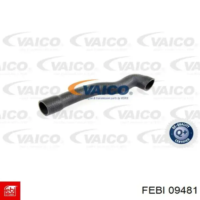 Poduszka (podpora) silnika lewa Renault Safrane I hatchback (B54) (1992 - 1996) cena, od 6,54 USD