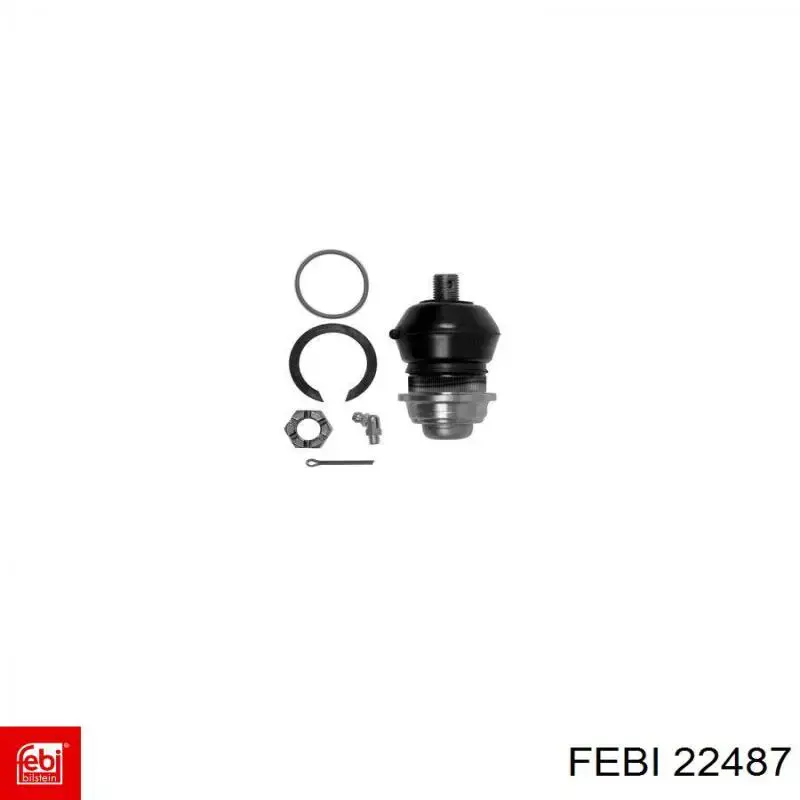 Do koszyka 2303520246 Mercedes Silentblock tylnej belki