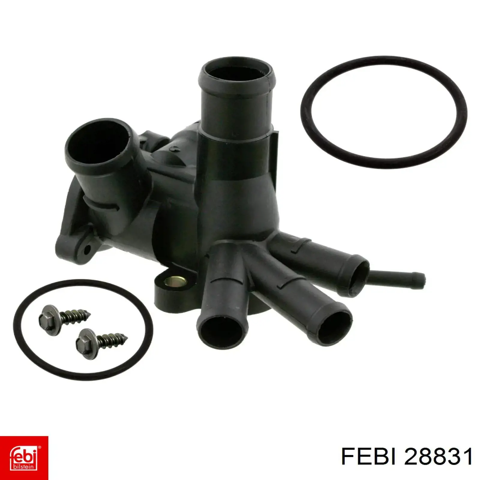 Do koszyka 28831 Febi Pas napędowy mechanizmów