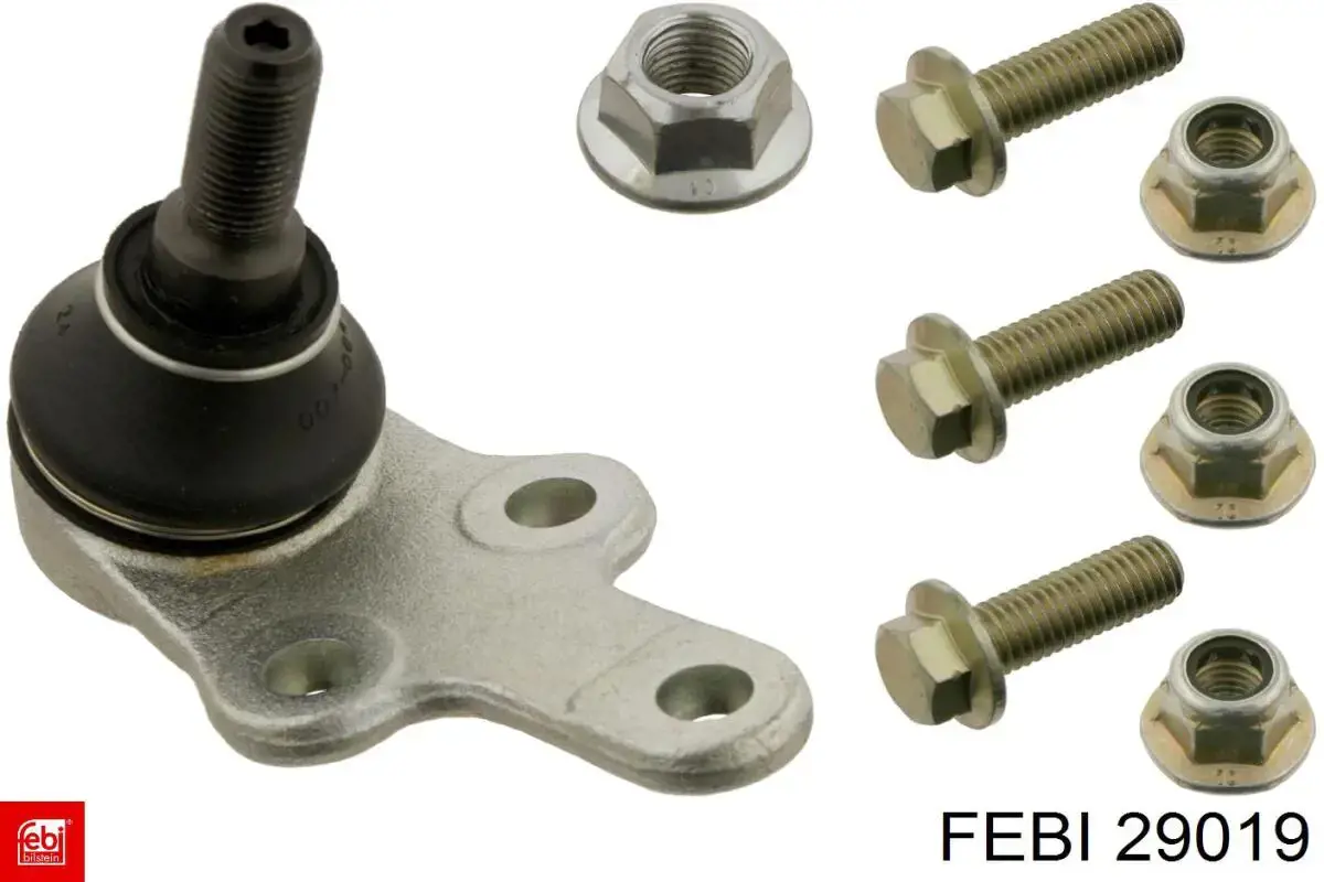 Do koszyka 29019 Febi Pas napędowy mechanizmów