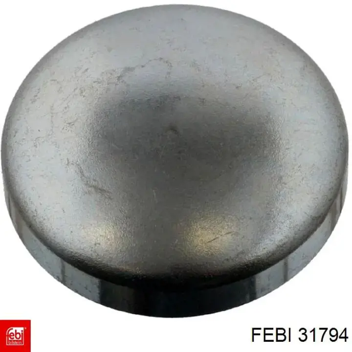 Zaślepka głowicy cylindrów/bloku cylindrów Febi 31794 cena, od 3,07 USD