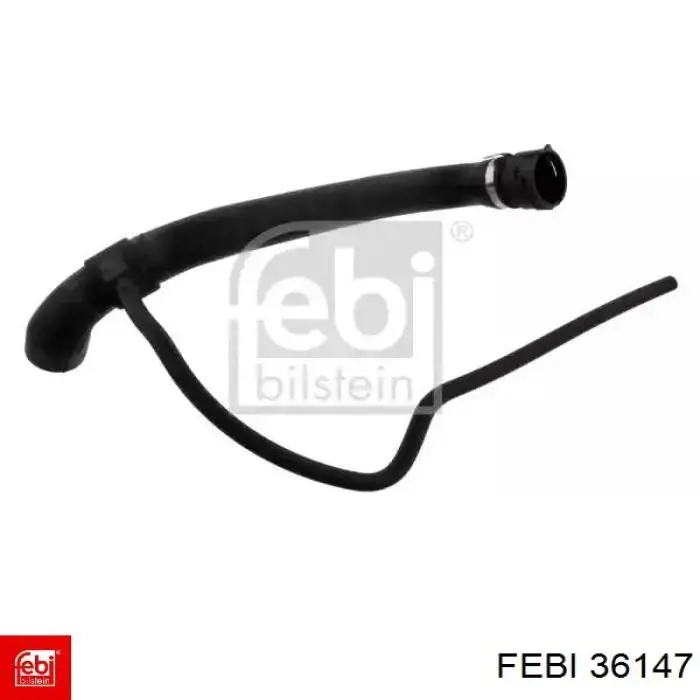 Przewód (króciec) chłodnicy górny Febi 36147 cena, od 50,27 USD