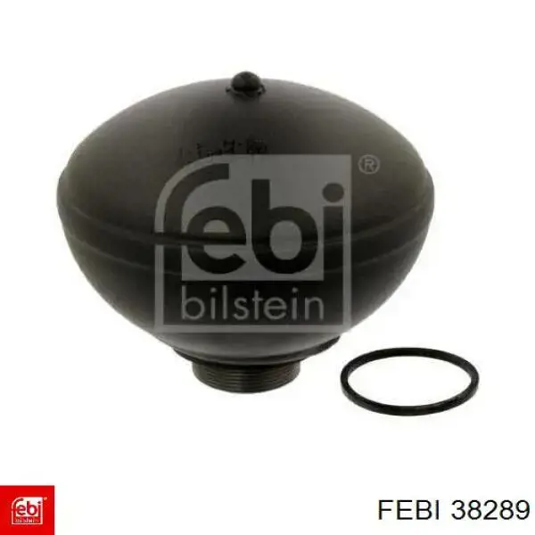 Akumulator hydrauliczny amortyzatorów tylny Febi 38289 cena, od 85,87 USD
