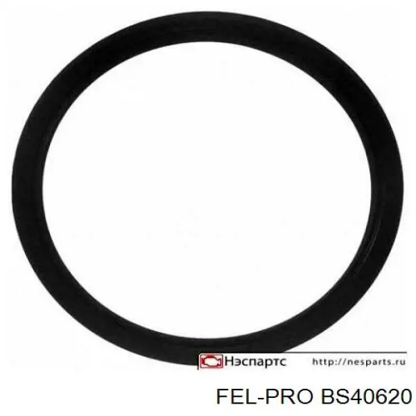 Do koszyka Uszczelniacz wału korbowego silnika tylny Ford Escape  