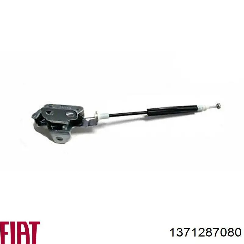  Fiat/Alfa/Lancia 1371287080 cena, od 31,99 USD