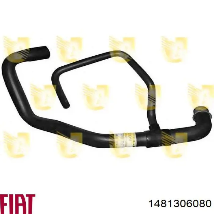 Przewód (króciec) chłodnicy dolny Fiat/Alfa/Lancia 1481306080 cena, od 45,24 USD