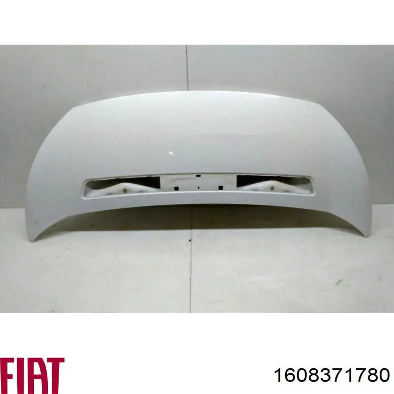 Do koszyka 1608371780 Fiat/Alfa/Lancia Maska silnika