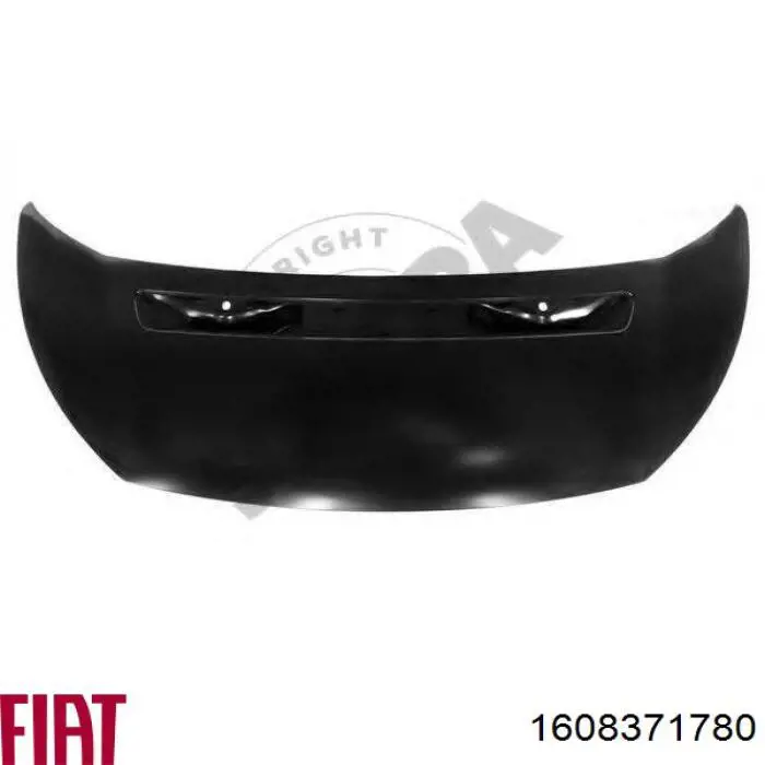 1608371780 Fiat/Alfa/Lancia Maska silnika
