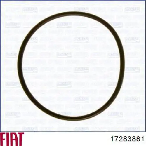17283881 Fiat/Alfa/Lancia Uszczelka kolektora ssącego