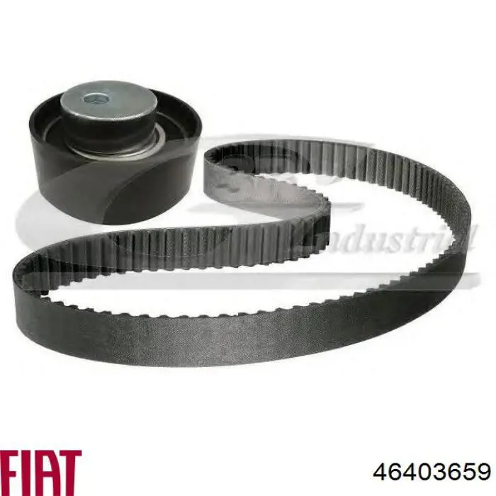 46403659 Fiat/Alfa/Lancia Pasek rozrządu