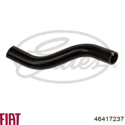 Przewód (króciec) chłodnicy górny Fiat Marea kombi (185) (1996 - 2007) cena, od 10,75 USD