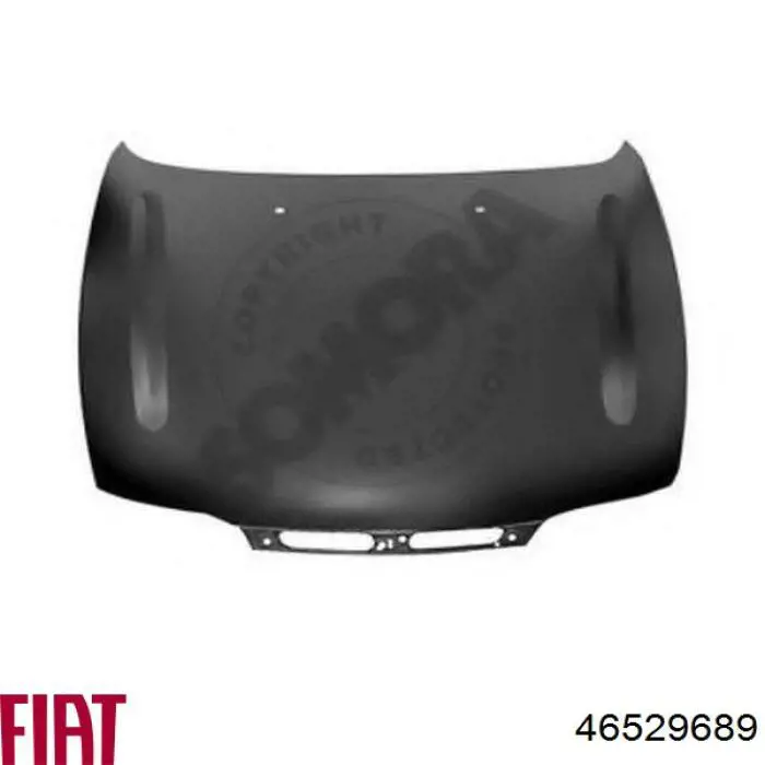 Maska silnika Fiat Bravo I hatchback (182) (1995 - 2001) cena, od 203,61 USD