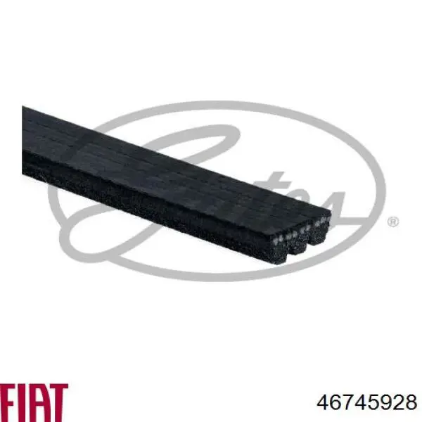 Do koszyka 46745928 Fiat/Alfa/Lancia Pas napędowy mechanizmów