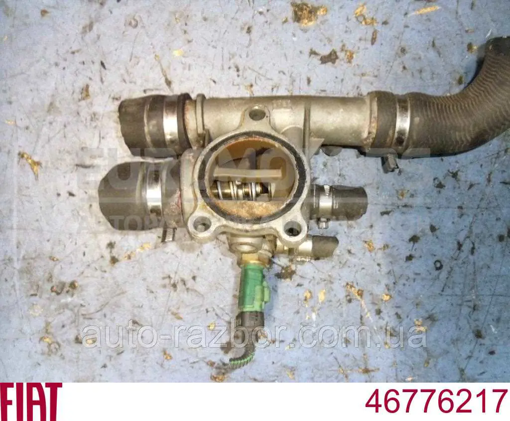 Do koszyka 46776217 Fiat/Alfa/Lancia Termostat