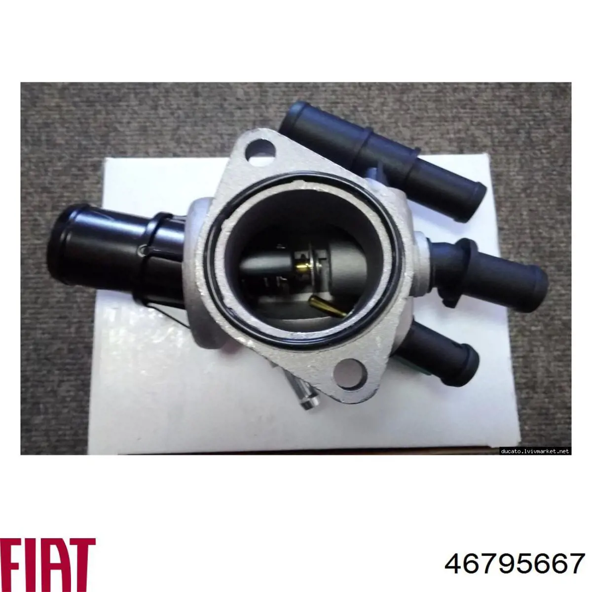 Do koszyka 46795667 Fiat/Alfa/Lancia Obudowa termostatu