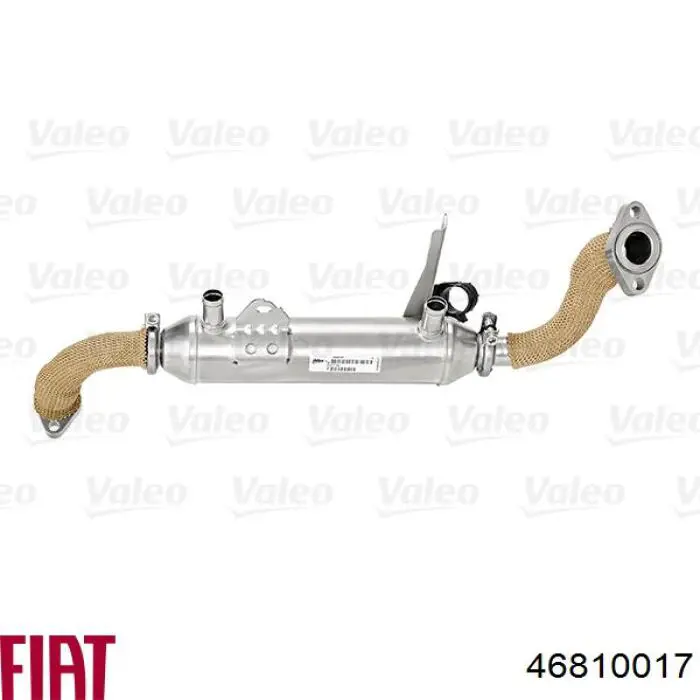 Chłodnica układu recyrkulacji spalin EGR Fiat/Alfa/Lancia 46810017 cena, od 80,02 USD