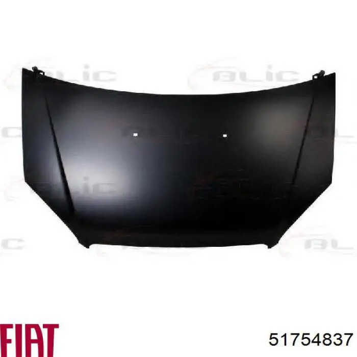 Do koszyka 51754838 Fiat/Alfa/Lancia Maska silnika