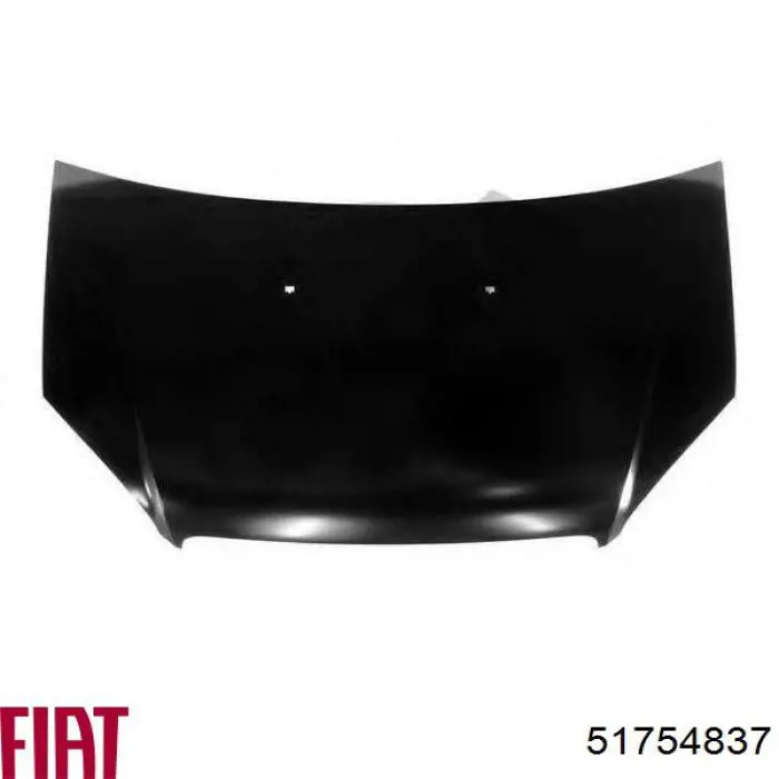 Do koszyka 51754837 Fiat/Alfa/Lancia Maska silnika