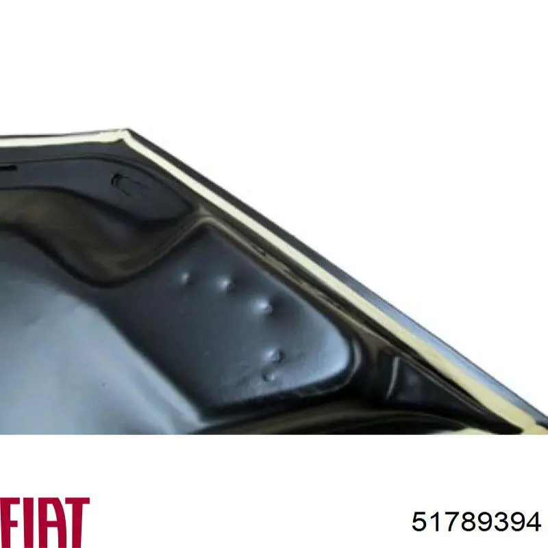 Maska silnika do Fiat Qubo  255