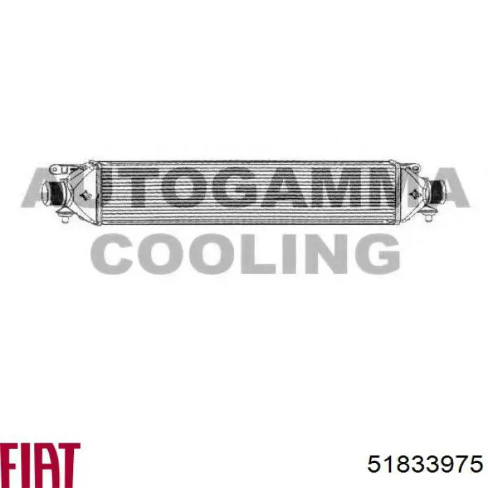 Do koszyka 51833975 Fiat/Alfa/Lancia Chłodnica intercoolera