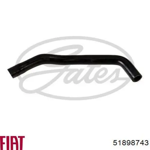Do koszyka 51898743 Fiat/Alfa/Lancia Przewód (króciec) chłodnicy górny