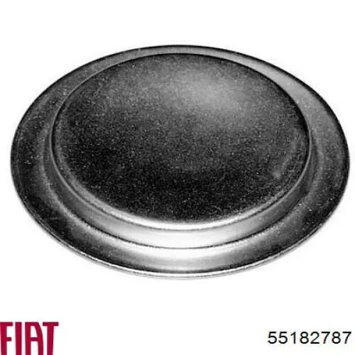 Do koszyka 55182787 Fiat/Alfa/Lancia Zaślepka głowicy cylindrów/bloku cylindrów