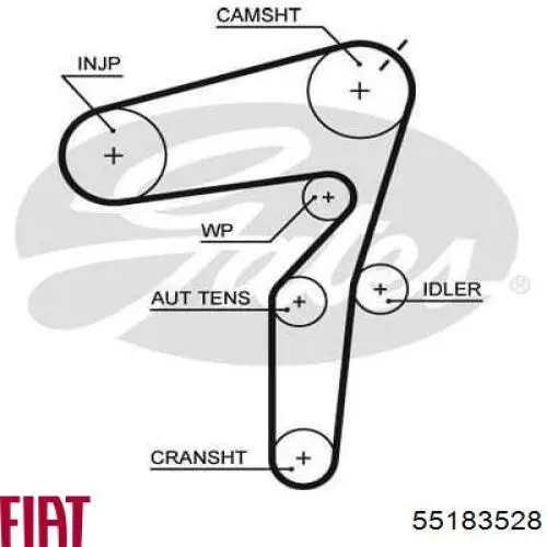 Pasek rozrządu Fiat/Alfa/Lancia 55183528 cena, od 42,34 USD