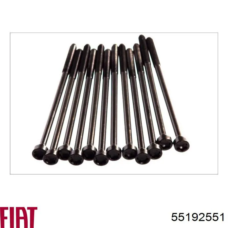 Do koszyka 55192551 Fiat/Alfa/Lancia Uszczelka głowicy cylindrów