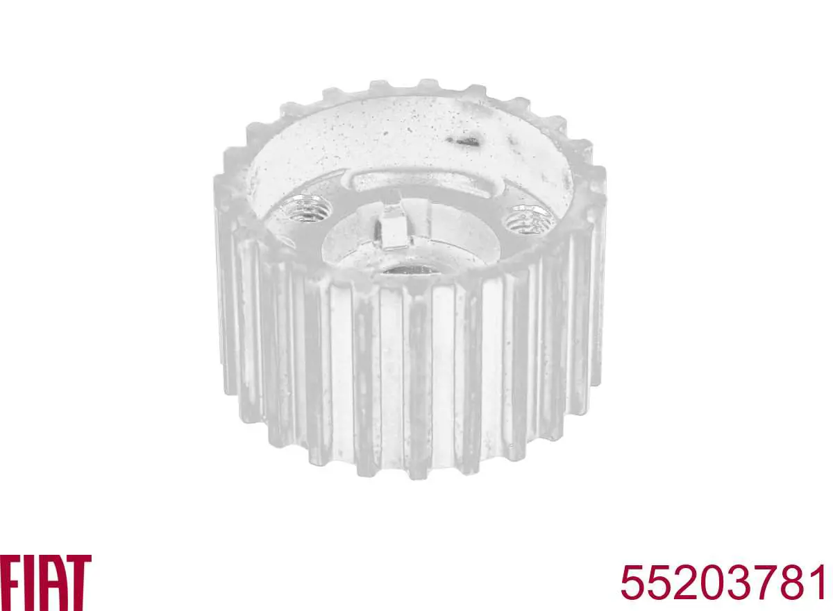 Do koszyka 55203781 Fiat/Alfa/Lancia Koło zębate walcowe napędu wałka rozrządu