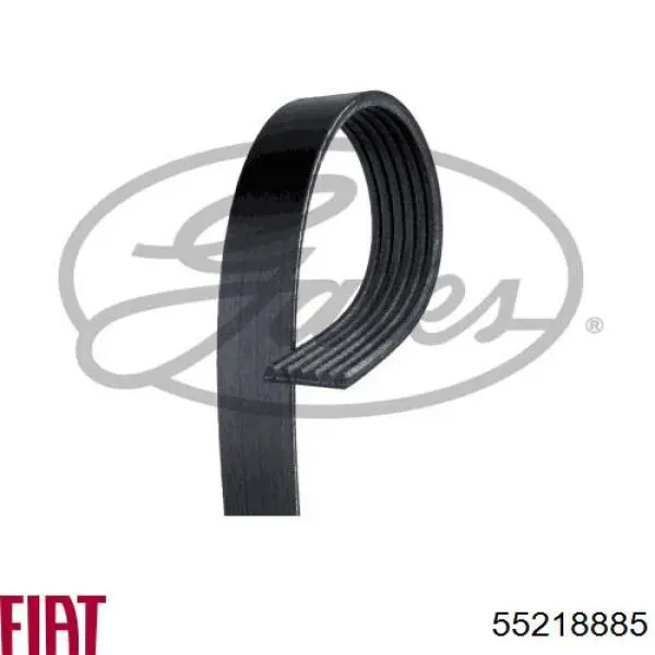 Do koszyka 55218885 Fiat/Alfa/Lancia Pas napędowy mechanizmów