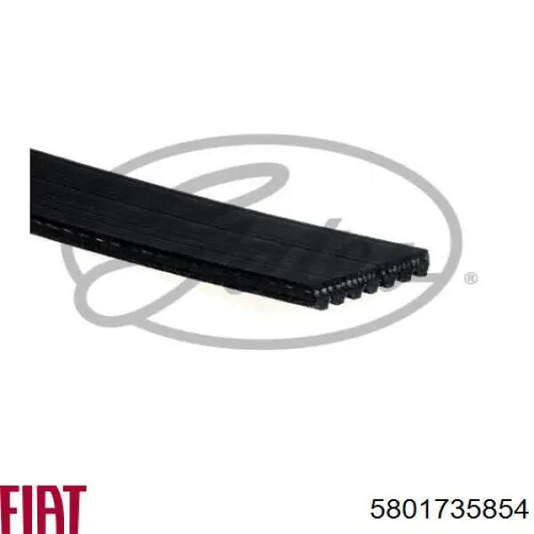 Pas napędowy mechanizmów Fiat/Alfa/Lancia 5801735854 cena, od 21,86 USD