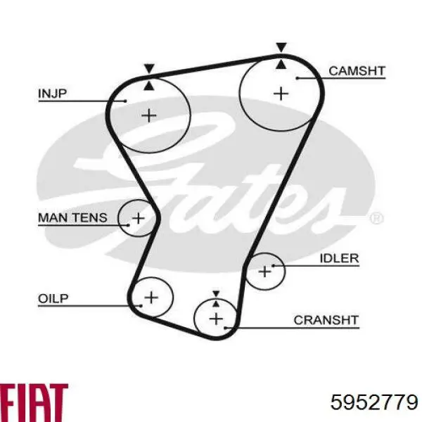 5952779 Fiat/Alfa/Lancia pasek rozrządu