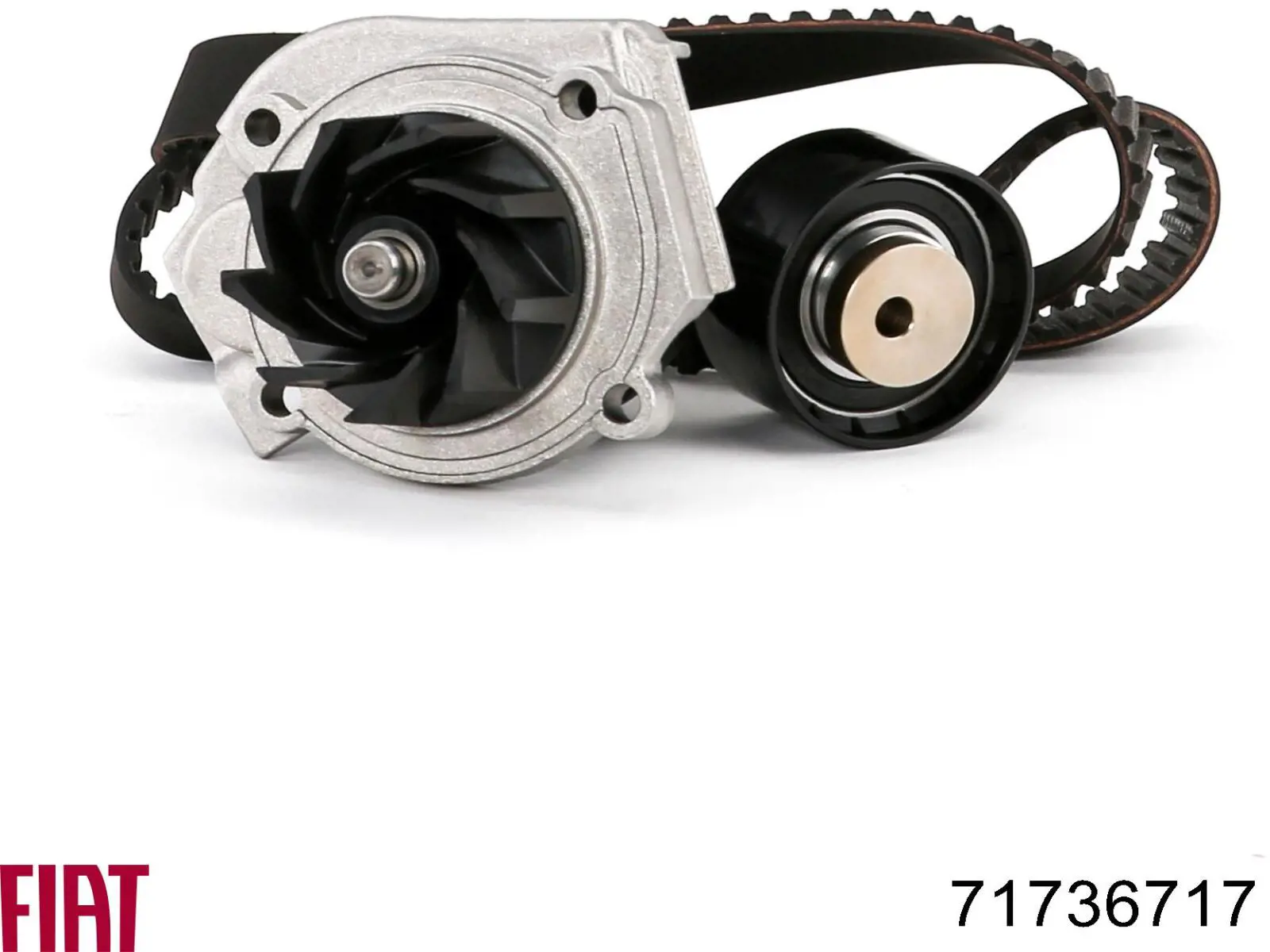Pasek rozrządu, zestaw Fiat/Alfa/Lancia 71736717 cena, od 59,53 USD