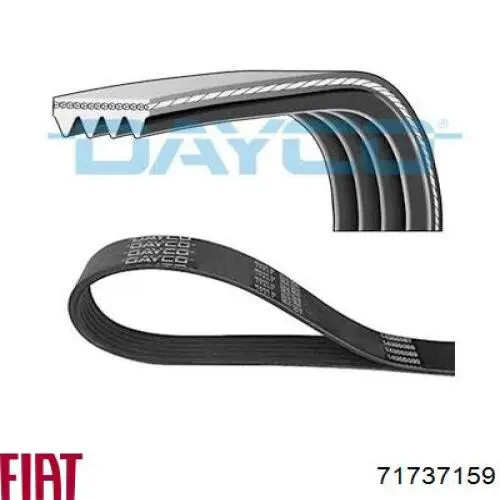 Pas napędowy mechanizmów Fiat/Alfa/Lancia 71737159 cena, od 13,91 USD