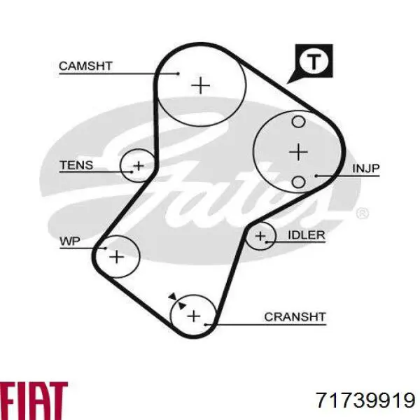 Do koszyka 71739919 Fiat/Alfa/Lancia Pasek rozrządu