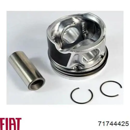 Do koszyka 71744425 Fiat/Alfa/Lancia Tłok, komplet do jednego cylindru, STD